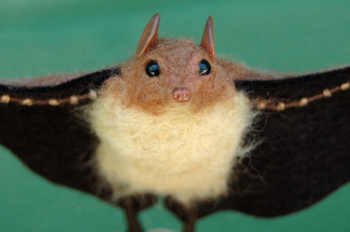 Blossom bat